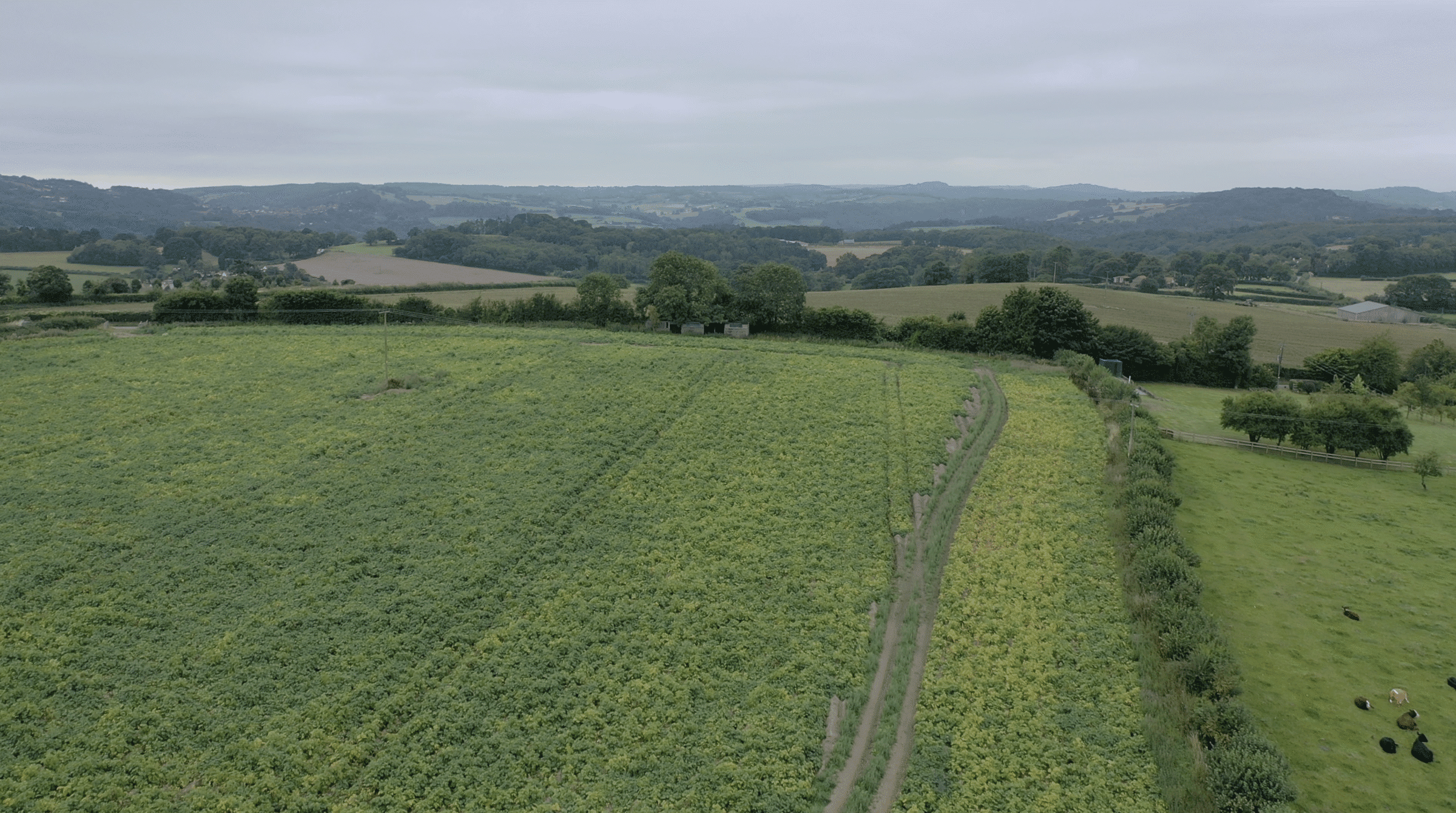 Howle Hill Site Aerial 03